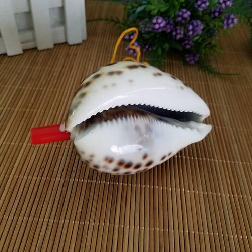 海螺网购物分享