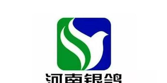 银鸽投资股票千股千评