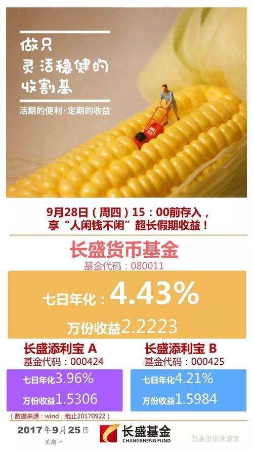 长盛货币市场基金